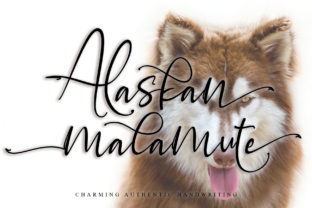 Alaskan Malamute: A Charming Handwritten Font for Web Design