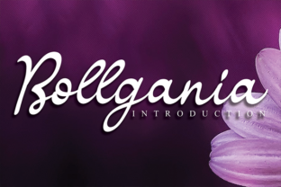 Bollgania Font: Elevating Editorial Design