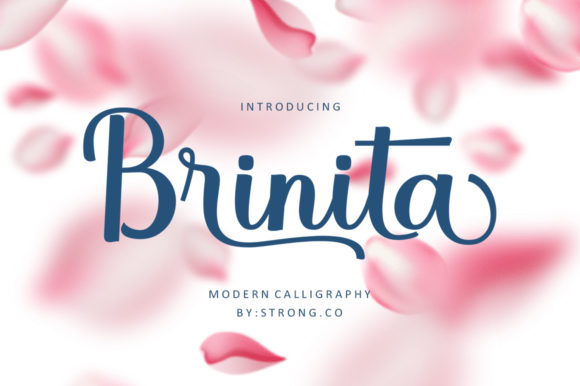 Brinita Font: Elevate Digital Campaigns with Elegant Script