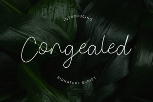 Congealed Font: Elevating Campaign Visuals with Elegant Script