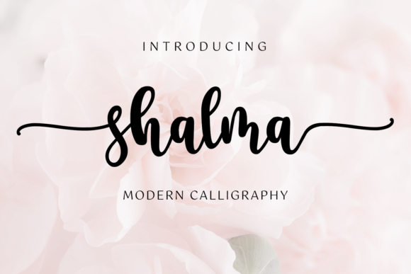 Shalma: A Handwritten Font for Bold Web Design